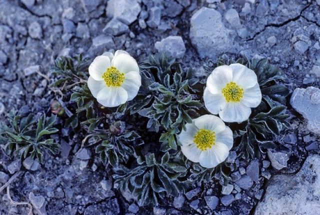 4281258989 bdf227958f