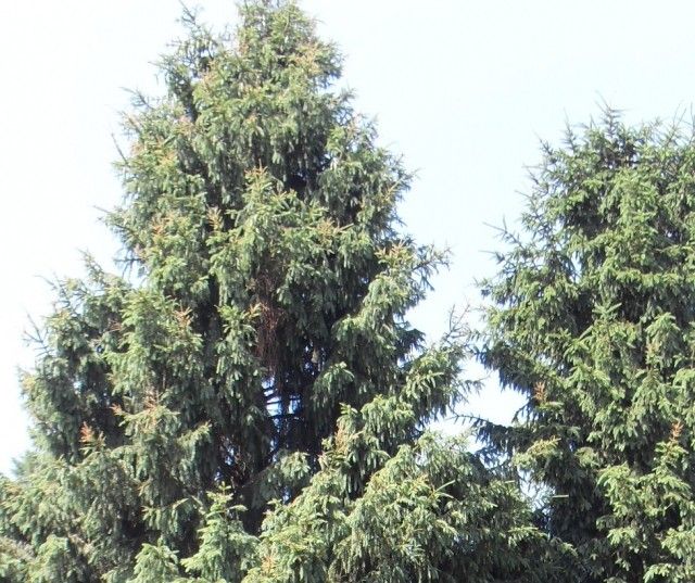 SDC165901