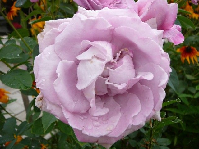P1220179