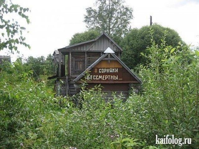 сорняки