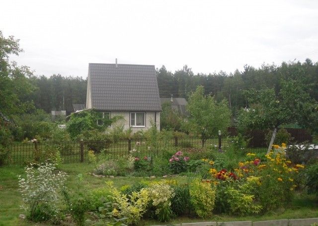 SDC10855
