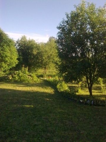 После стрижки