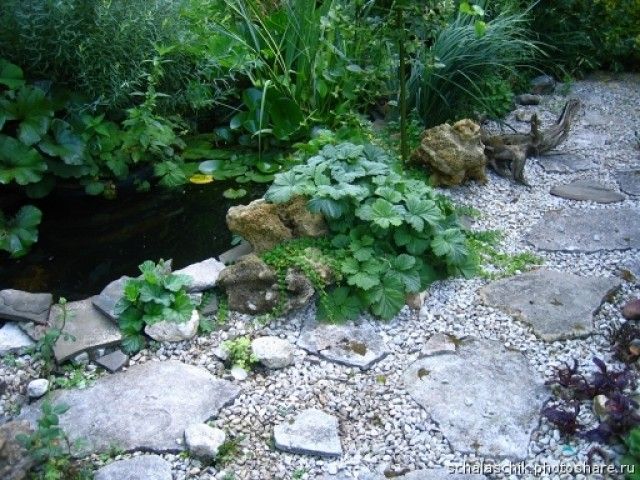 Наташа  пруд у дома