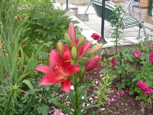 DSC08056