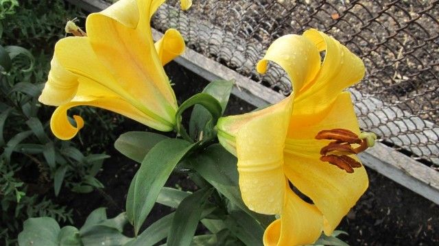 Изображение 095