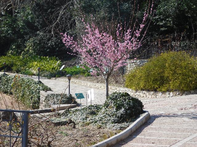 DSCN5043   копия