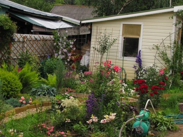 общий на кухню 3