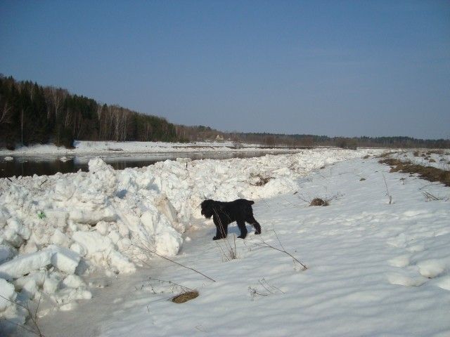 DSC06313