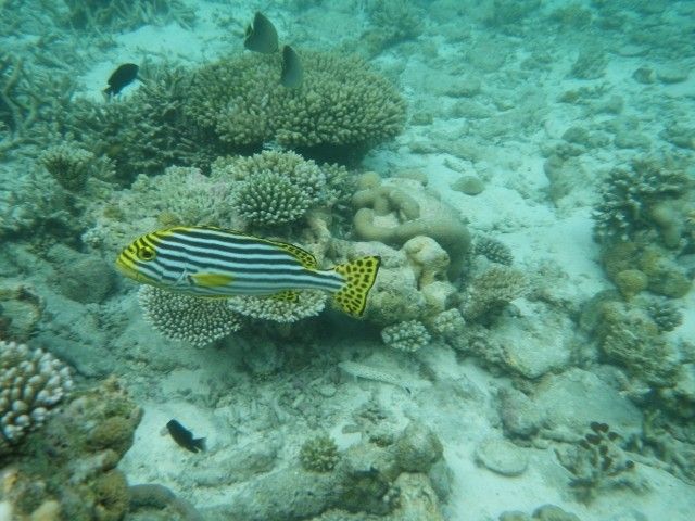 IMGP0723