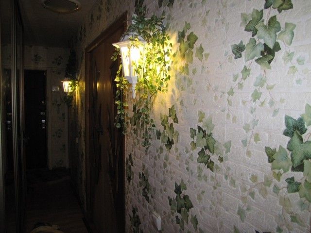 IMG 4480