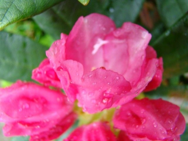 DSC02835