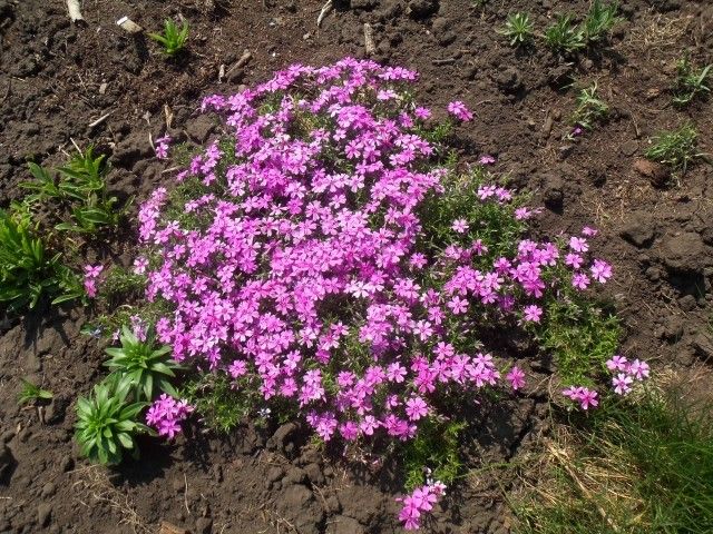 Изображение 026