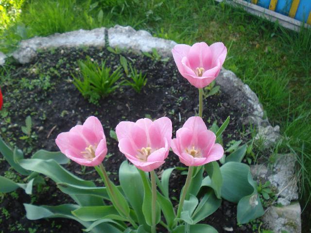 DSC00052