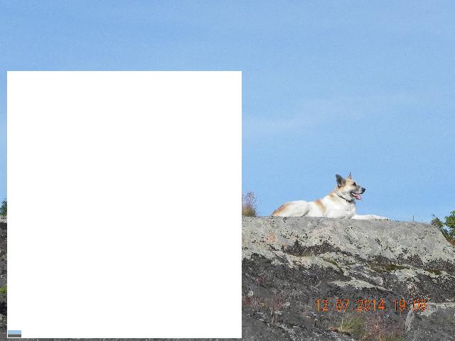 DSCN4220
