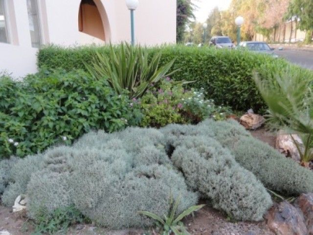 DSC01763