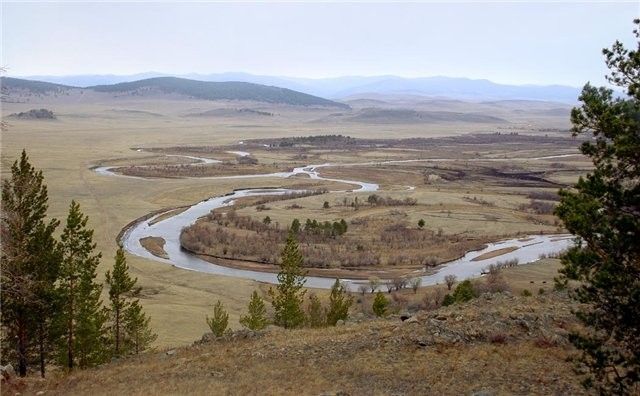 Выше только птицы