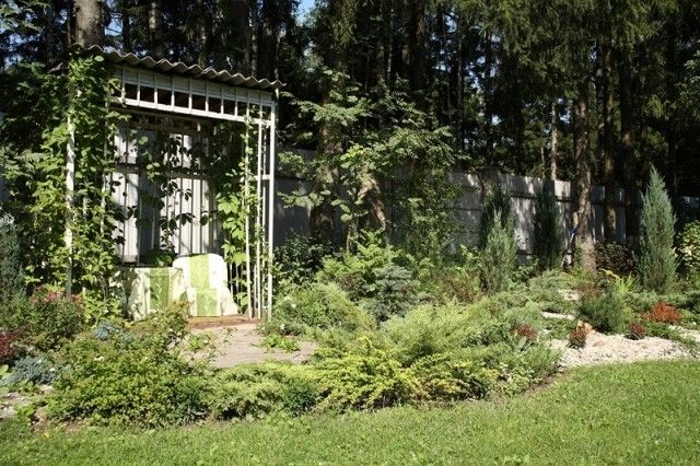 MG 2447  Копировать