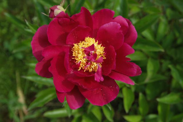 DSCF2897