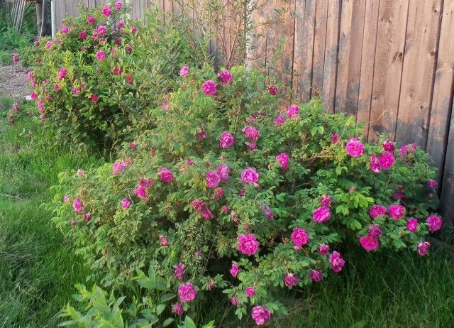 Изображение 078