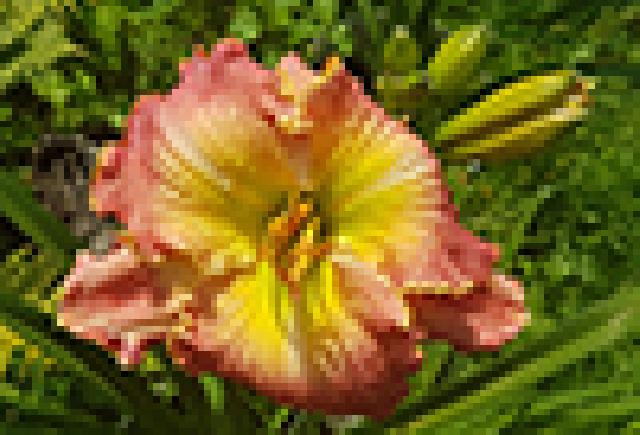 ОТКРЫТЫЕ ГЛАЗА