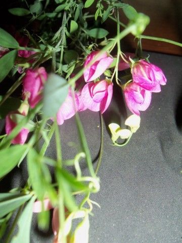 Изображение 151