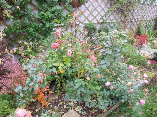 IMG 9620