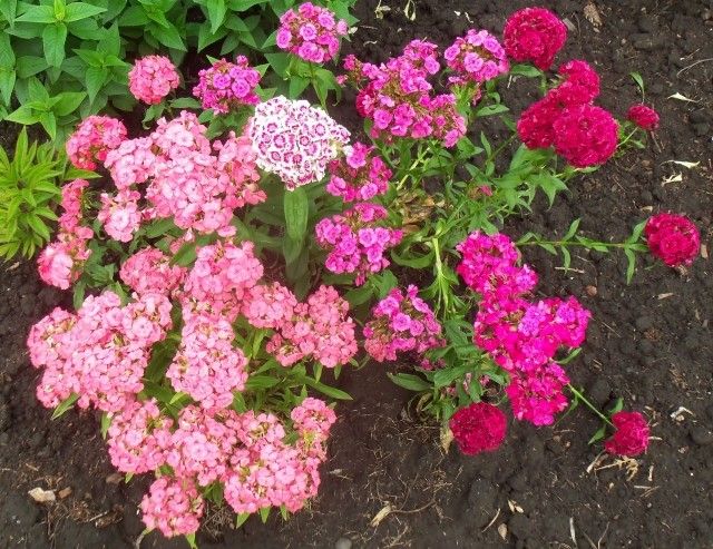 Изображение 067