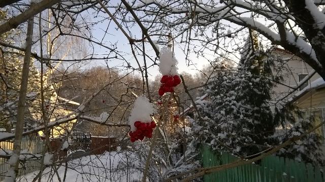 WP 20160107 11 03 44 Pro