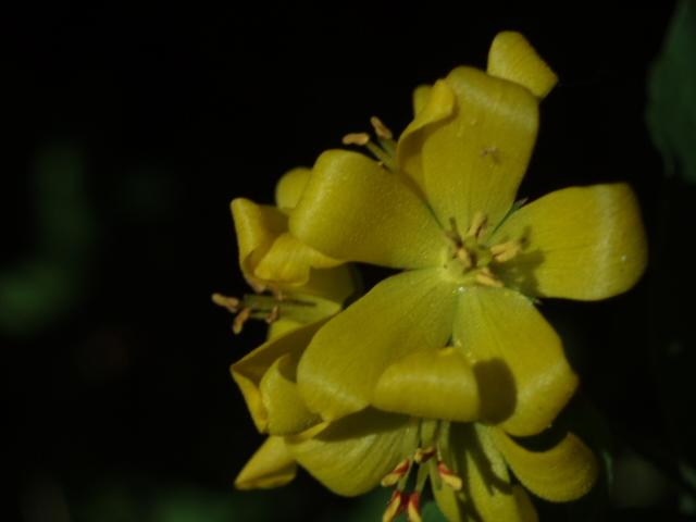 031