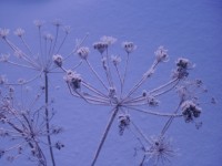 P1050211