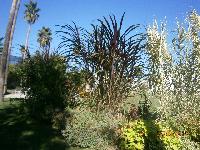 P9020680