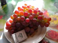 DSCN0419