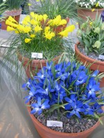 Англия 2010 525