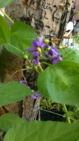 2013 07 04 0326