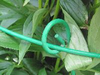 Изображение 235