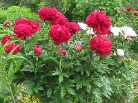 Изображение 024