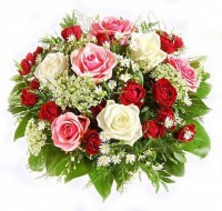 getImage  10