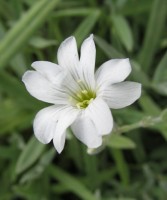 IMG 0071 7 1