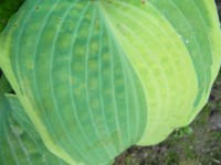 P1060022