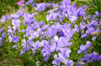 DSC04640