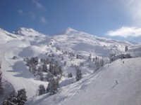 DSC01486