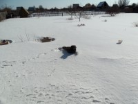 Изображение 011