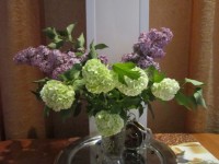бульданеж3