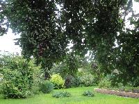 DSC01778