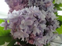 Изображение 089