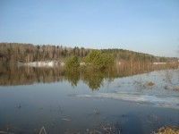 DSC06355