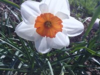 IMG 20130510 WA0002