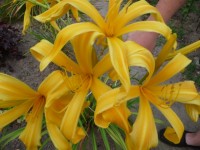 P1050206