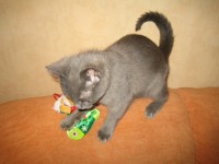 IMG 4767