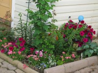 угол кухни 12